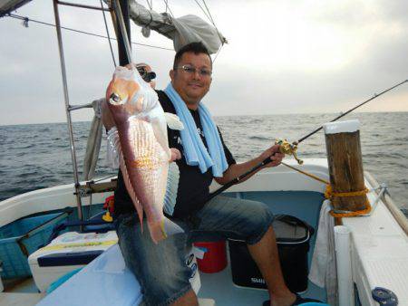 きずなまりん 釣果