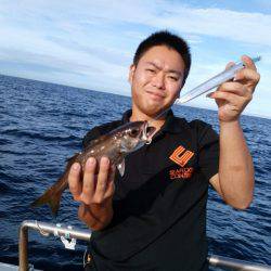 ありもと丸 釣果