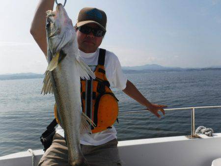 海龍丸(島根) 釣果