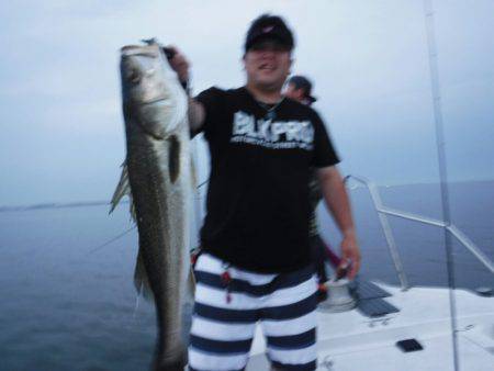 海龍丸(島根) 釣果