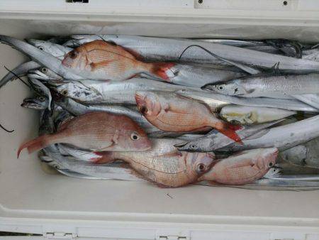 ありもと丸 釣果