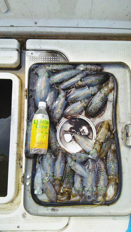 マリンガイド福丸 釣果