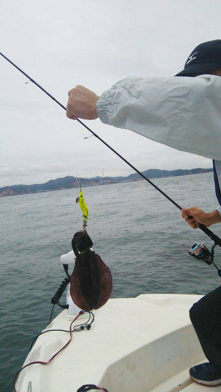 マリンガイド福丸 釣果