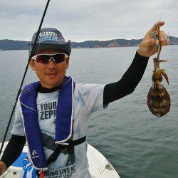 マリンガイド福丸 釣果