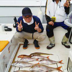 マリンガイド福丸 釣果