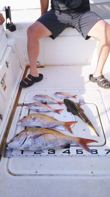 マリンガイド福丸 釣果