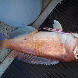 第二龍勢丸 釣果