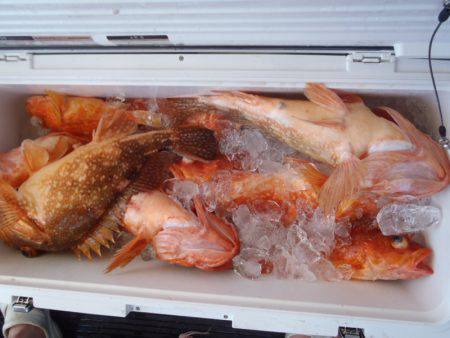 第二龍勢丸 釣果