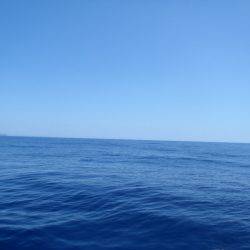 第二龍勢丸 釣果