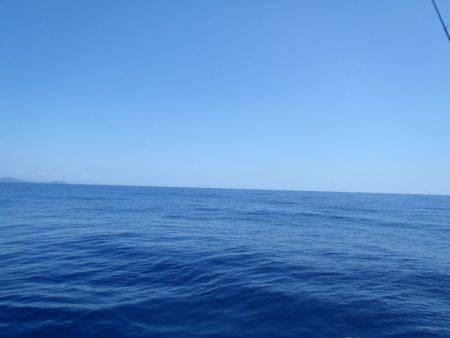 第二龍勢丸 釣果