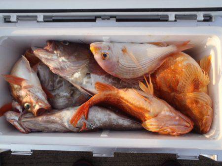 第二龍勢丸 釣果