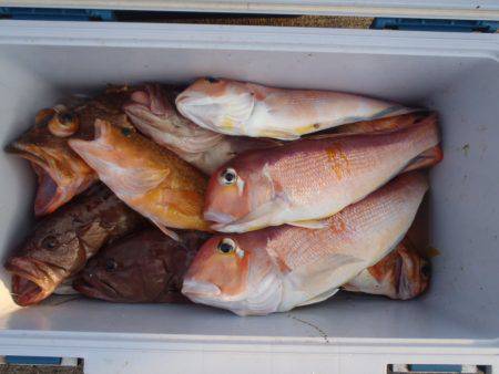 第二龍勢丸 釣果