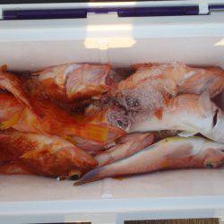 第二龍勢丸 釣果