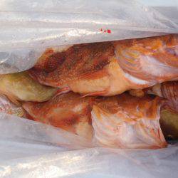 第二龍勢丸 釣果