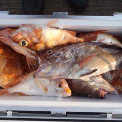 第二龍勢丸 釣果