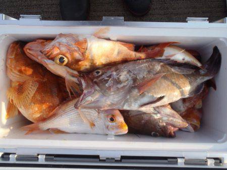 第二龍勢丸 釣果