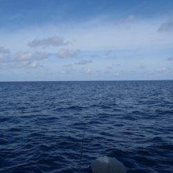 第二龍勢丸 釣果