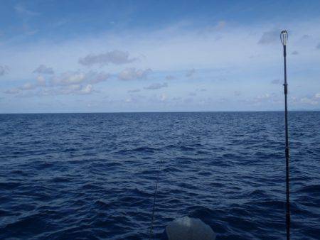 第二龍勢丸 釣果