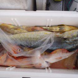 第二龍勢丸 釣果