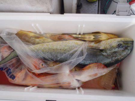 第二龍勢丸 釣果