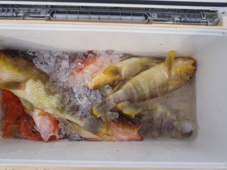 第二龍勢丸 釣果