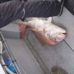 第二龍勢丸 釣果