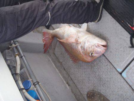 第二龍勢丸 釣果