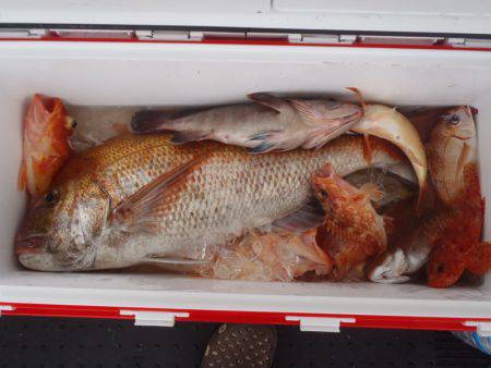 第二龍勢丸 釣果