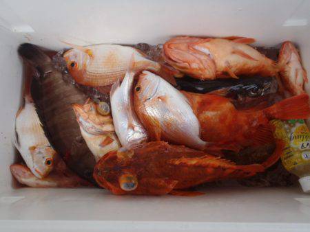 第二龍勢丸 釣果