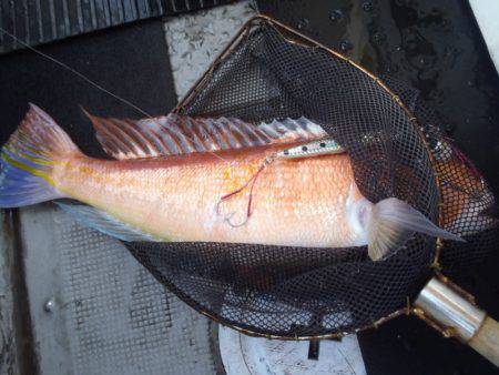 第二龍勢丸 釣果