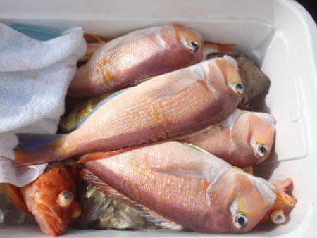 第二龍勢丸 釣果