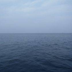 第二龍勢丸 釣果