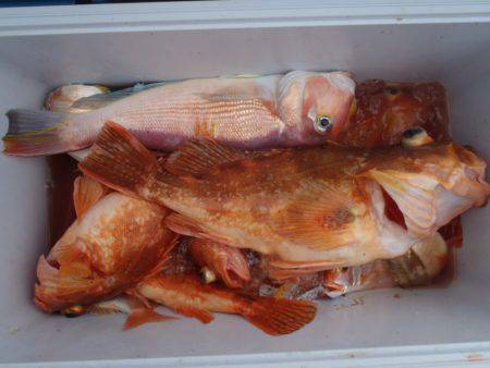 第二龍勢丸 釣果