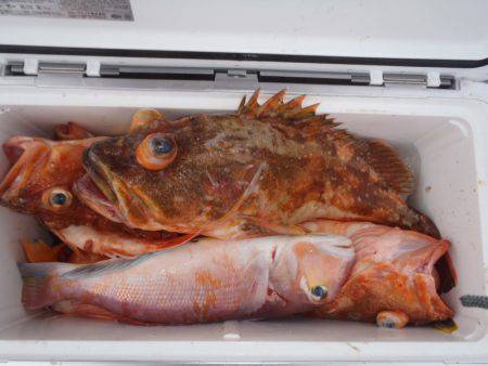 第二龍勢丸 釣果