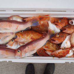 第二龍勢丸 釣果