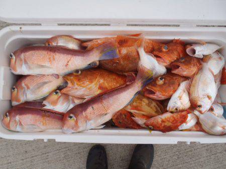 第二龍勢丸 釣果