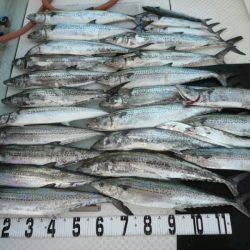 オーシャンスター(Ocean Star) 釣果