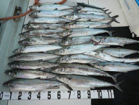 オーシャンスター(Ocean Star) …