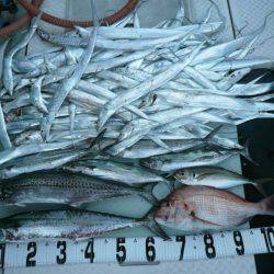 オーシャンスター(Ocean Star) 釣果