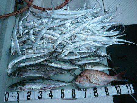 オーシャンスター(Ocean Star) …