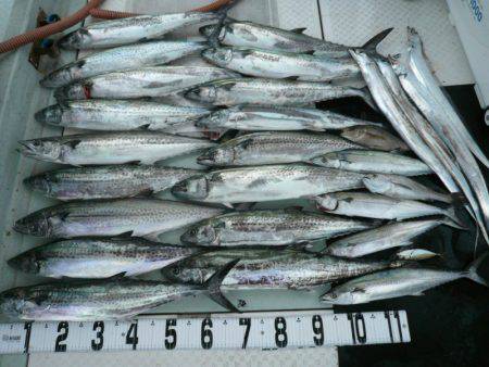 オーシャンスター(Ocean Star) …