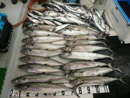 オーシャンスター(Ocean Star) …