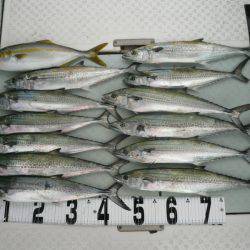 オーシャンスター(Ocean Star) 釣果