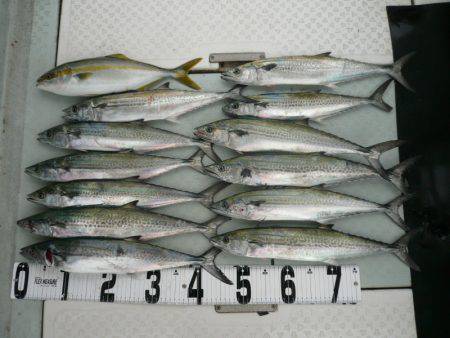 オーシャンスター(Ocean Star) …