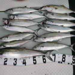 オーシャンスター(Ocean Star) 釣果