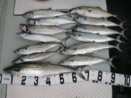 オーシャンスター(Ocean Star) …