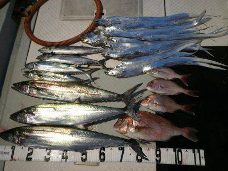 オーシャンスター(Ocean Star) …