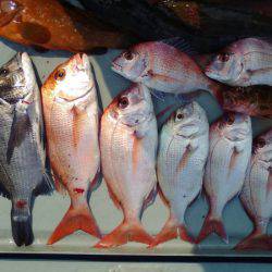 海季丸(みきまる) 釣果