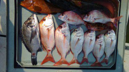 海季丸(みきまる) 釣果