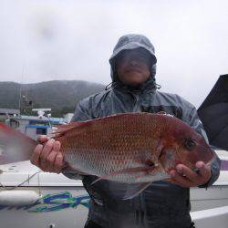 JDI Racing シールズマリンレジャー 釣果